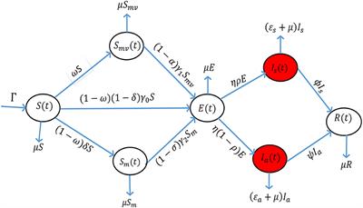 To Use Face Masks or Not After COVID-19 Vaccination? An Impact Analysis Using Mathematical Modeling